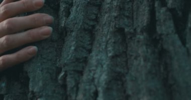 Ağaca sarılan doğuştan saçlı bir kadın..