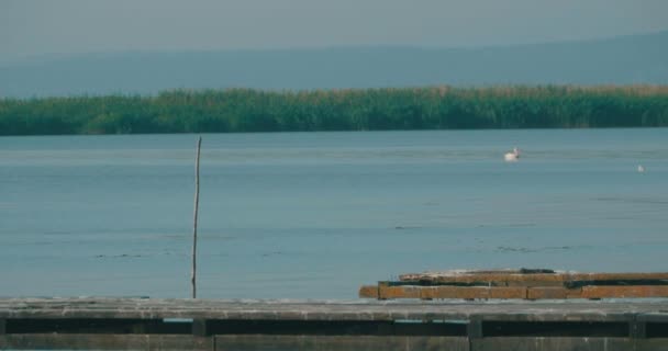 Widok Stare Drewniane Jezioro Ponton Delcie Dunaju Rumunia Słoneczny Letni — Wideo stockowe
