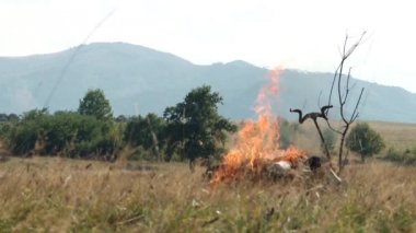 Eski yanan ceset ayini 1
