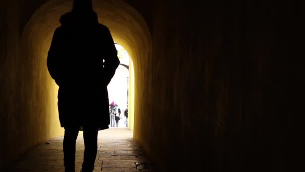 Чёрный силуэт в тоннеле — стоковое видео