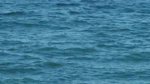 Ondes marines bleues 