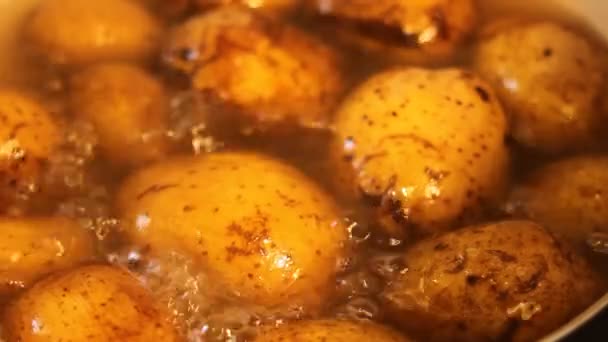 Kokande potatis på nära håll — Stockvideo