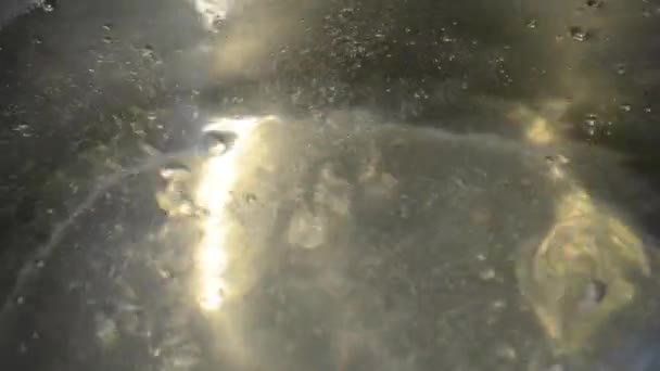 Boiling Water Close-up — Stock Video