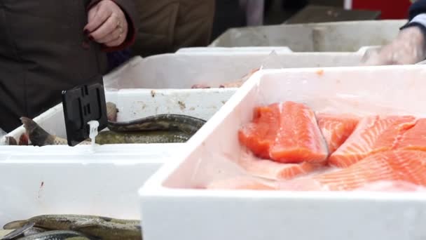Nákup čerstvých ryb — Stock video