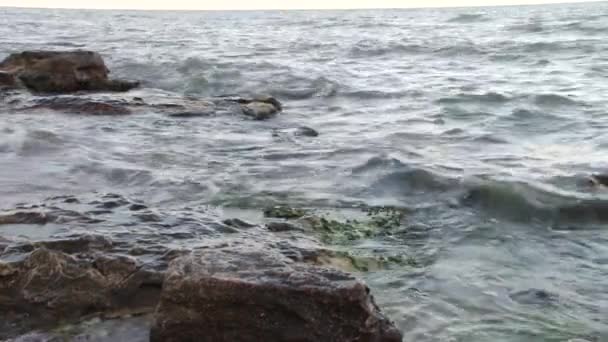 Falaises au bord de la mer — Video