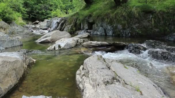 Czyste górskie rzeki — Wideo stockowe