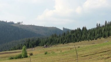 Yetiştirilip dağ yamacı Timelapse