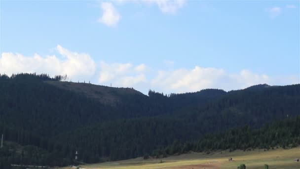 Timelapse deforested terület — Stock videók