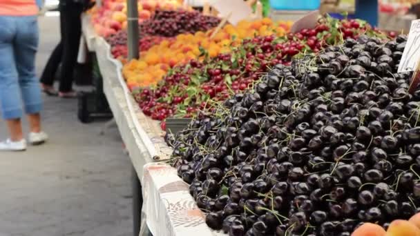 Delicious Black Cherry Heap — Stock Video