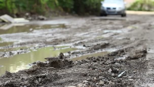 Route de terre après la pluie — Video