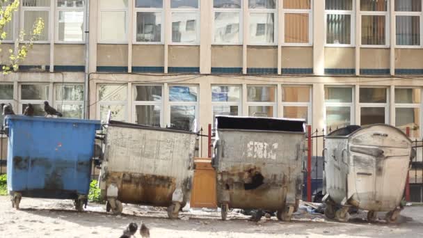 Müllcontainer verschmutzt — Stockvideo