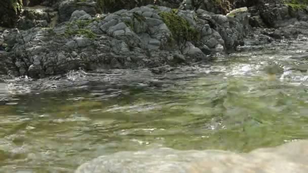 Schneller Fluss aus nächster Nähe — Stockvideo