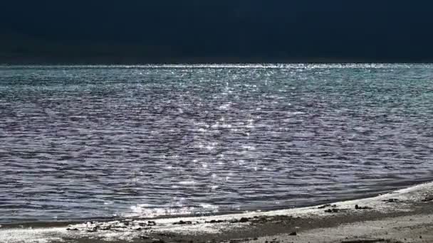 Αναβοσβήνει στην ακτή της λίμνης — Αρχείο Βίντεο