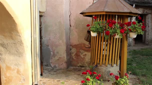 Vasos de flores balançando — Vídeo de Stock