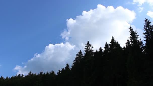 Nubes blancas esponjosas fuera del bosque — Vídeo de stock