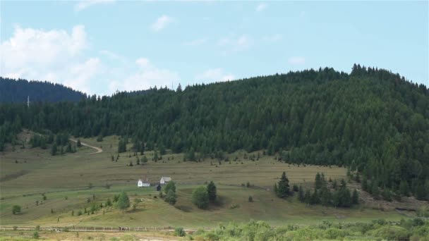 Foreste sulle colline Paesaggio paesaggistico — Video Stock