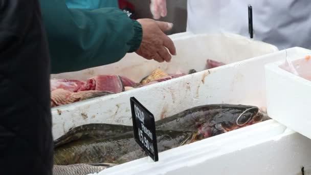 Продажа свежей рыбы — стоковое видео