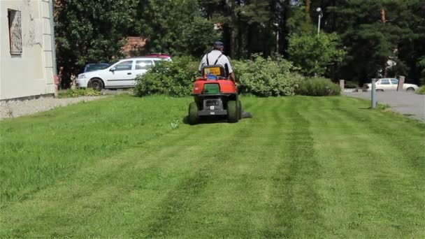 Trädgårdsmästare klipper gräsmattan — Stockvideo