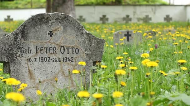 Tombstone soldado alemão — Vídeo de Stock