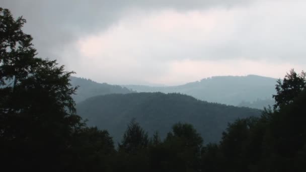 Zooma in i diset och skogar horisonten — Stockvideo
