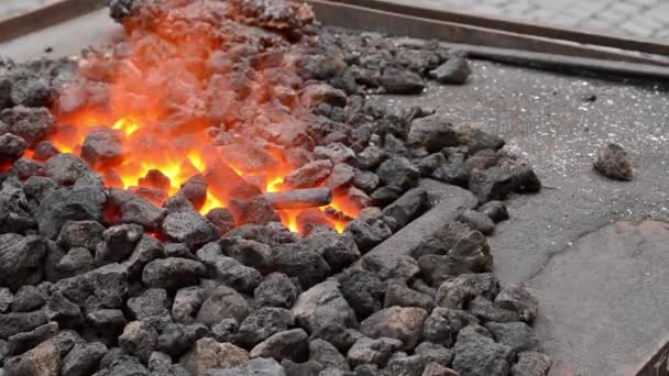 Calefacción de la plancha en la chimenea de forja — Vídeos de Stock