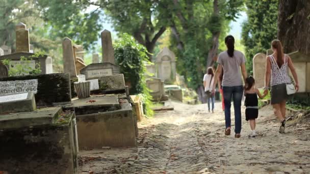 Девочка, гуляющая по кладбищу — стоковое видео