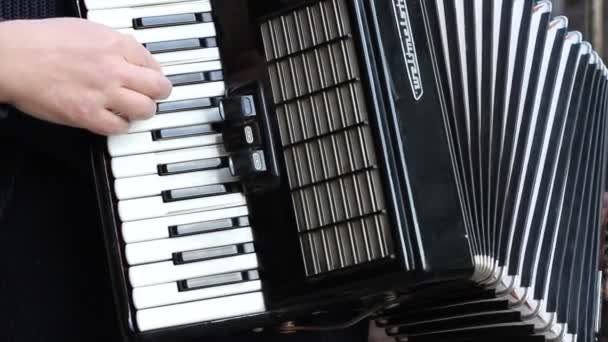 Homme jouant de l'accordéon — Video