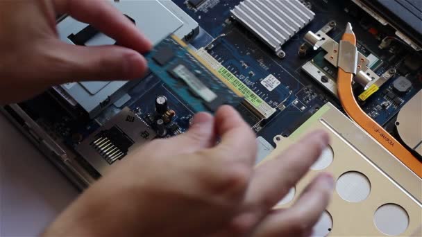 Montage Ram-geheugen op Laptop — Stockvideo