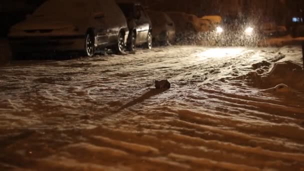 Noche nevó el tráfico de la calle — Vídeo de stock