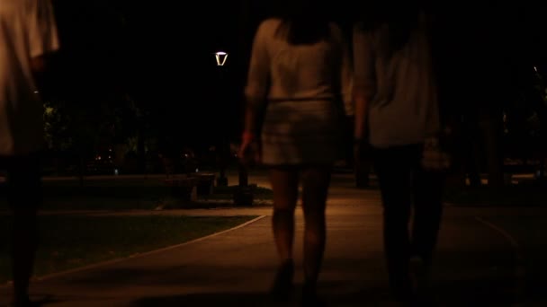 Promenade nocturne dans le parc — Video