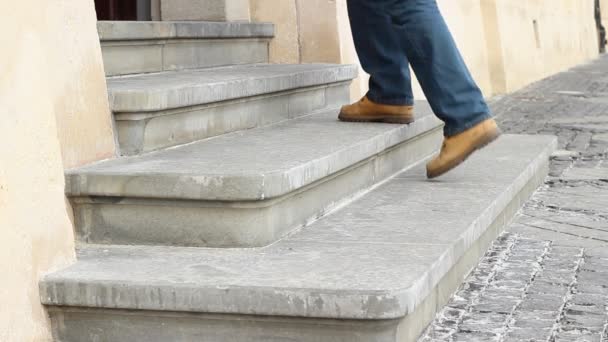 Old Stone Steps Entrance — Stock Video