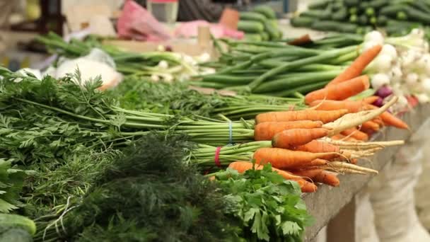 Bio-Karotten auf dem Markt — Stockvideo