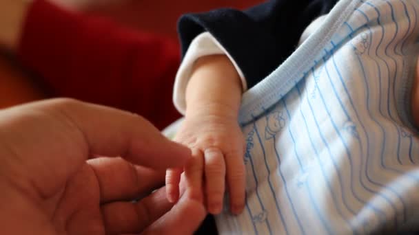 Anne-baba ve bebek hassasiyet — Stok video