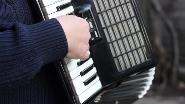 Piano accordeon musicus — Stockvideo