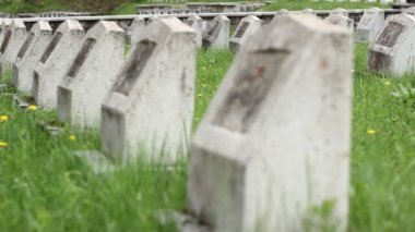 Kızıl Ordu İkinci Dünya Savaşı mezarlığı