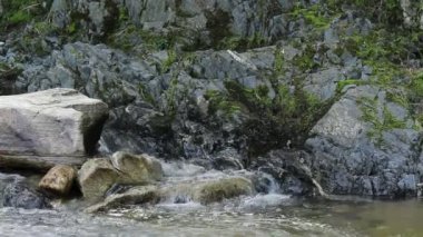 Kayalar Moss ve Rapids