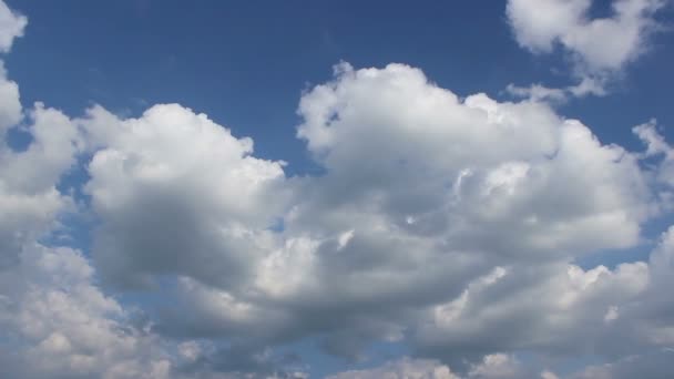 Puffy Clouds on Blue Sky Timelapse — Stock Video