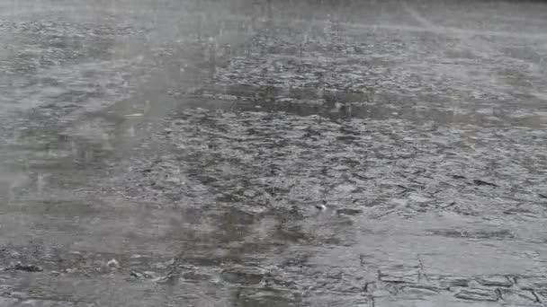 Lluvia en la Plaza del Pavimento — Vídeo de stock