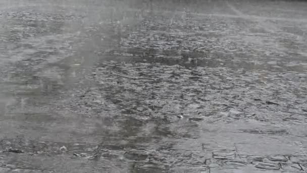 Pluie sur la place de la chaussée — Video