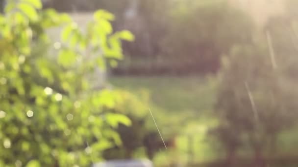 Gouttes de pluie et atmosphère solaire 