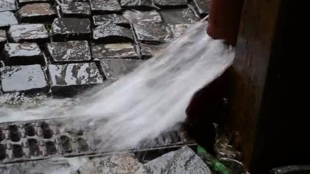 Rugmarge van regenwater — Stockvideo