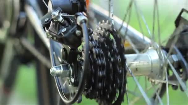 Engrenagens traseiras da bicicleta — Vídeo de Stock