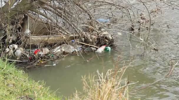 Забруднення річки сміття — стокове відео