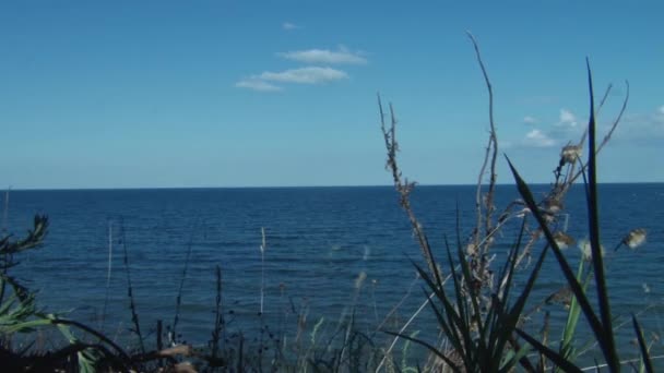 Uitzicht op zee vanaf grond — Stockvideo