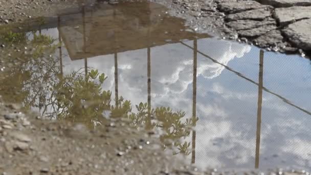Reflexión del cielo sobre el charco — Vídeos de Stock