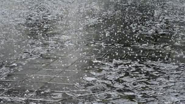 Ducha de granizo en la calle pavimentada — Vídeos de Stock