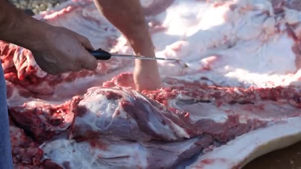 Cięcie dużych świeżego mięsa — Wideo stockowe