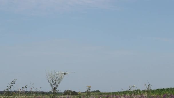 Petit avion arrivant à terre — Video