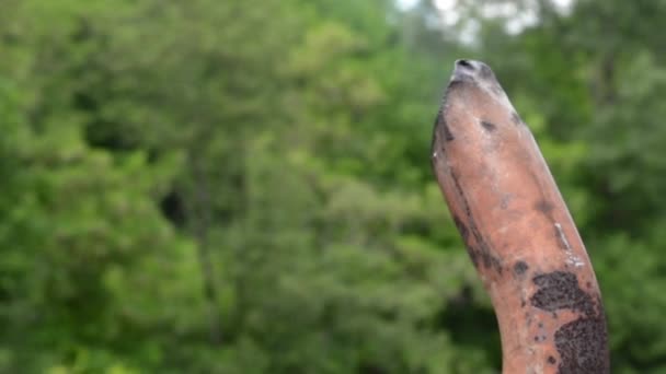 Tubo de escape viejo contaminante del humo — Vídeo de stock