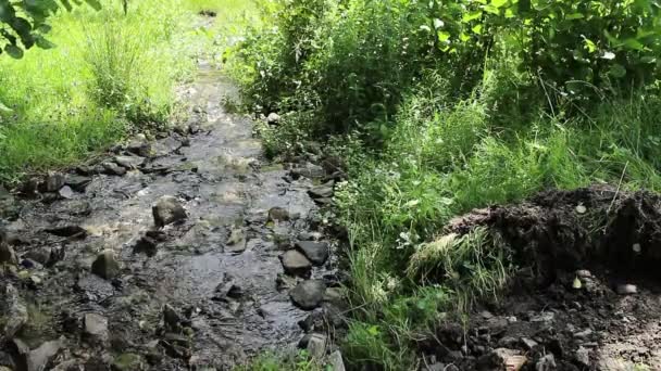 Quelle fliesst den Fluss — Stockvideo